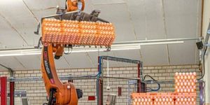 Inovativní robotické systémy automatizují paletizaci vajec a chrání zdraví zaměstnanců